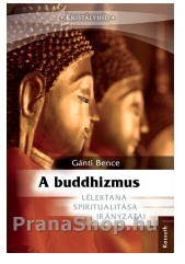 A buddhizmus lélektana